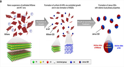 [Seung Hwa Yoo] Biphasic Ni-MXene Quantum-Confined Nanostructures: A Versatile Janus Platform for Advanced Energy Storage and Catalytic Oxidations 게시글 썸네일