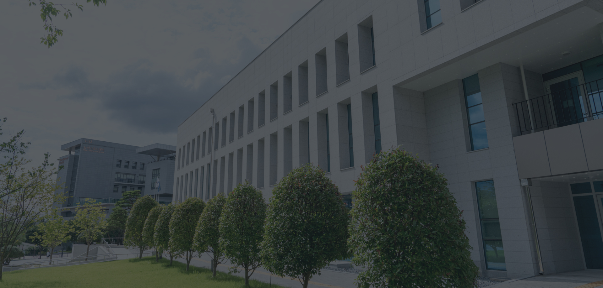 메인 배경 이미지 1