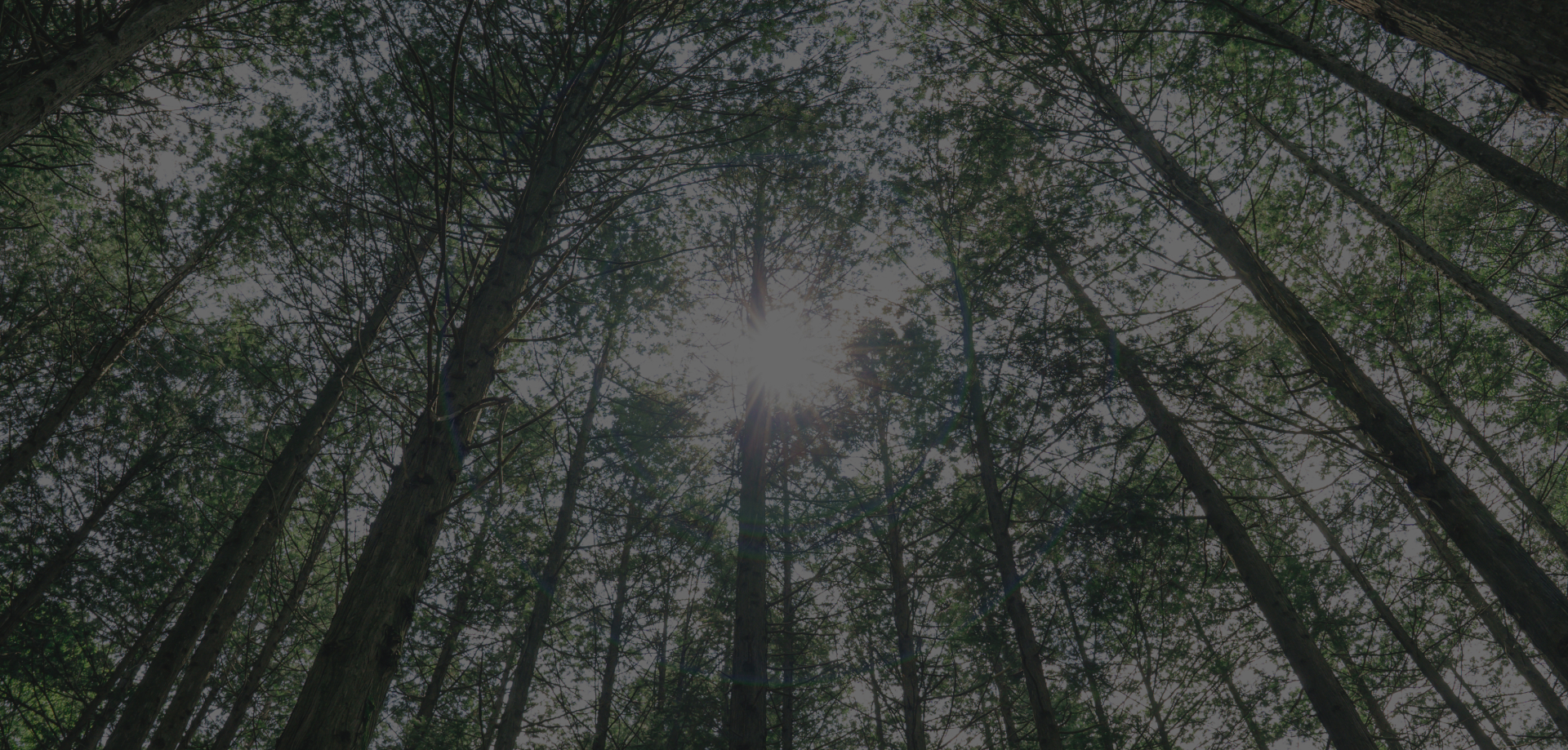 메인 배경 이미지 3