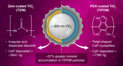 [﻿Chan Hee Park] ﻿Tracking Mineral Growth on Bioorganic Coatings in Real Time at Nanoscale 게시글 썸네일